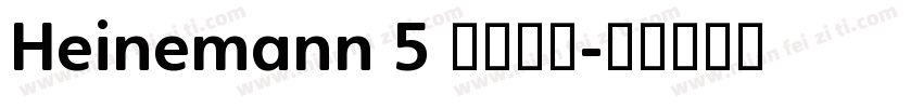 Heinemann 5 字体家族字体转换